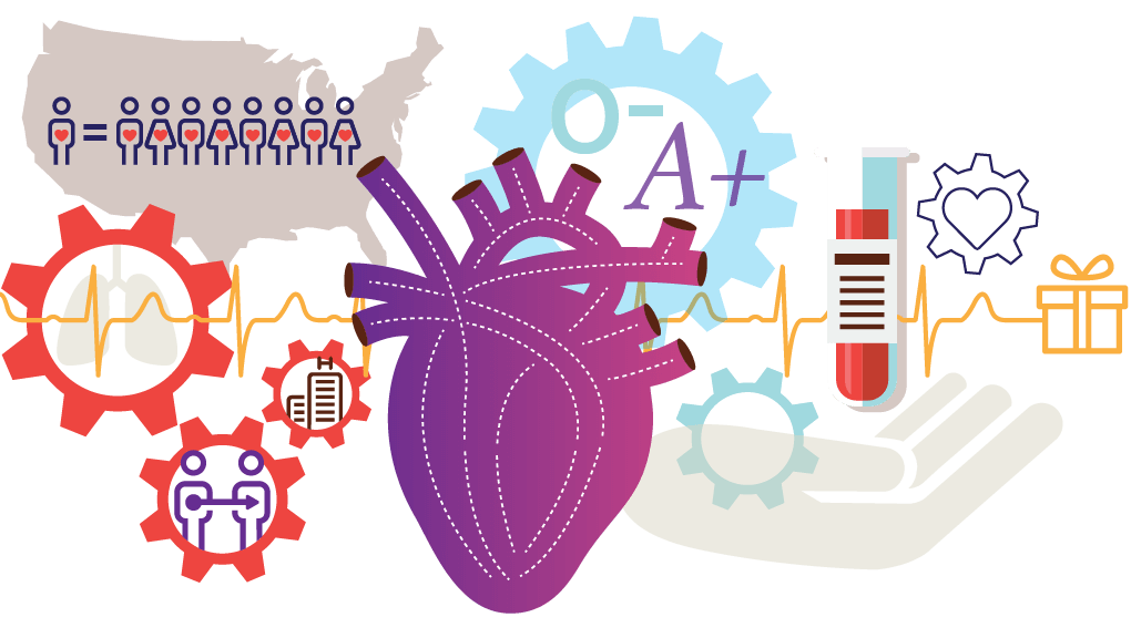 Advancements and Ethics in Organ Transplantation: Saving Lives, Challenging Moral&nbsp;Boundaries